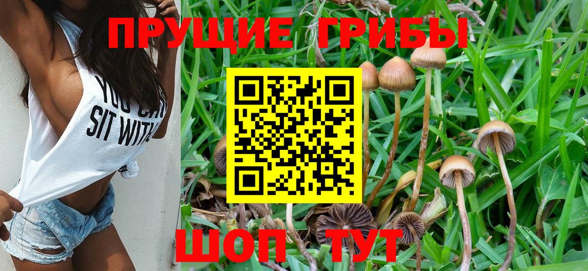 Псилоцибиновые грибы ЛСД Коломна
