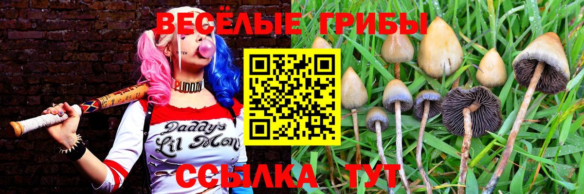 Галлюциногенные грибы Magic Shrooms  Псилоцибиновые грибы прущие грибы  Коломна  Вход с VPN 